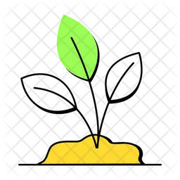 Plant Leaves  Icon