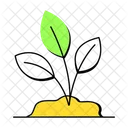 Plant Leaves Plant Growing Sapling Icône