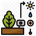 Plant Monitoring Light Icon
