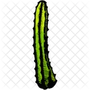 Cactus Dry Climate Icon