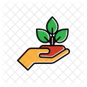Plant On A Hand Icon