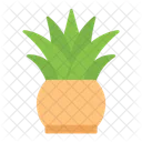 Plant Nature Pot Icon