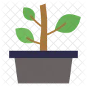 Plant Pot Nature Botanical Icon