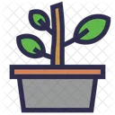 Plant Pot Nature Botanical Icon