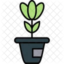 Plant Pot Nature Garden Icon