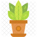 植木鉢、屋内、部屋 アイコン