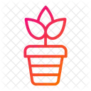 Plant Pot Plant Pot Icon