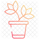 Plant Pot Plant Nature Icon
