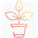 Plant pot  Icon