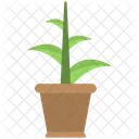Plant Pot Brown Icon