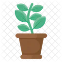 Plant Pot Plant Vase Plant Growth Icon
