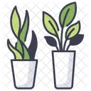 Plant Green Leaf Icon