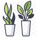 Plant Pot  Icon