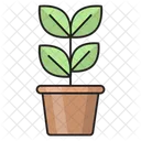 Plant Growth Green Icon