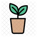 Plant Pot Plant Leaf Icon