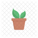 Plant Pot Plant Green Icon