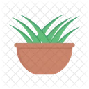 Plant Pot Plant Nature Icon