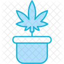 Plant Pot Icon