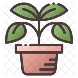 Plant Pot  Icon