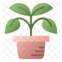 Plant Pot Nature Icon