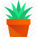 Plant Green Leaves Icon
