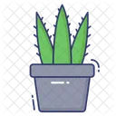 Plant Pot Plant Pot Icon