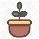 Pot Plant Nature Icon
