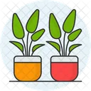 Plant Pot Succulent Flower Icon