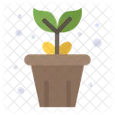 Plant Pot Pot Nature Icon