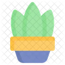 Plant Pot  Icon