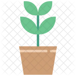 Plant Pot  Icon