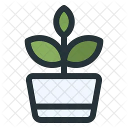 Plant Pot  Icon