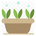 Growth Leaf Plant Icon