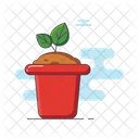 Plant Pot Plant Pot Icon