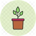 Plant Pot Decoration Garden Icon
