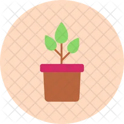 Plant pot  Icon