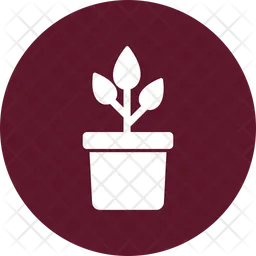 Plant pot  Icon