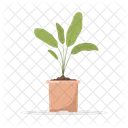Plant Pot Plant Pot Icon