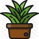 Plant Pot Garden Clay Icon