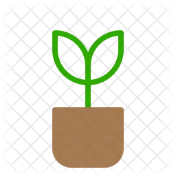 Plant Pot  Icon