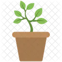 Plant Pot Flower Icon