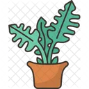 Plant Pot  Icon