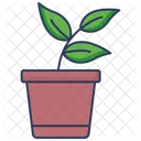 Plant pot  Icon