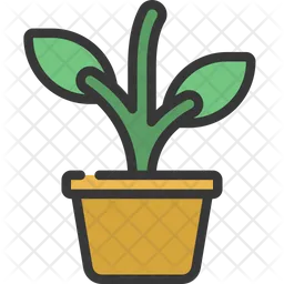 Plant Pot  Icon