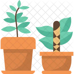 Plant Pot  Icon