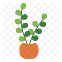 Plant Pot Decorative Plant Plant Icon