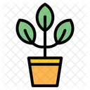 Plant Pot  Icon