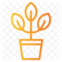 Plant Pot Plant Pot Icon