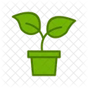 Plant Pot Pot Leaf Icon