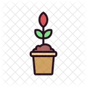 Plant Pot  Icon